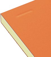 Cursusblok Oxford Orange Notepad A4+ lijn 4-gaats 160pag 80gr oranje-2