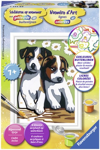 Schilderen op nummer Ravensburger Schattige puppies