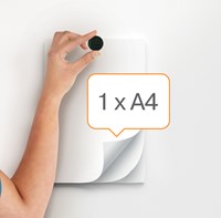 Magneet Nobo 13mm zwart 10 stuks-2