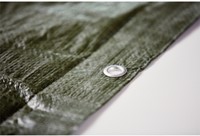 Zeilringen Rapid Ø21x10mm 25 stuks-1