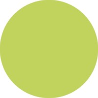 Fineliner STABILO point 88/14 fijn vleugje limoen-3