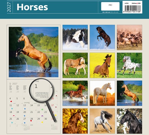 Kalender 2027 Helma 365 30x30cm paarden-2