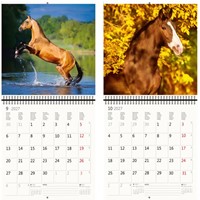 Kalender 2027 Helma 365 30x30cm paarden-1