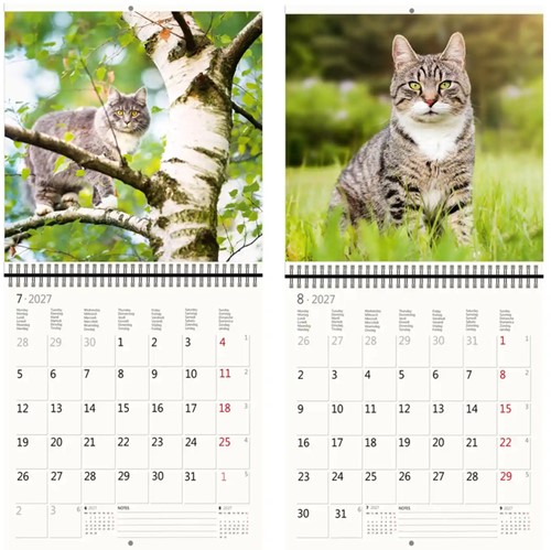 Kalender 2027 Helma 365 30x30cm katten-3