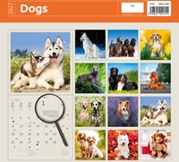 Kalender 2027 Helma 365 30x30cm honden-2