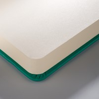 Schetsboek Talens Art Creation 80 vel 140gr 130x210mm woudgroen-3