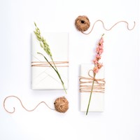 Touw jute Folia 20 meter naturel-2