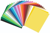 Knutselpapier Folia A4 100vel 25 kleuren-2