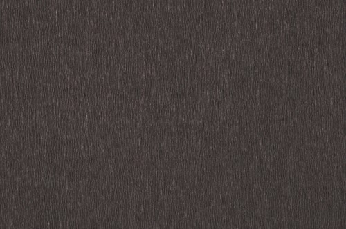 Crêpepapier Folia 250x50cm nr199 zwart-2