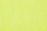 Crêpepapier Folia 250x50cm nr145 lichtgroen-2