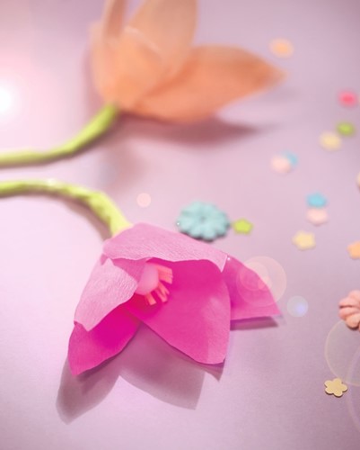 Crêpepapier Folia 50x250cm 10vel 176 roze-3