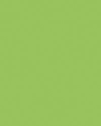 Etalagekarton Folia 1-zijdig 48x68cm 380gr nr941 fluor groen