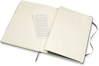 Notitieboek Moleskine XL 190x250mm blanco hard cover myrtle green-1