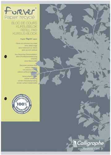 Cursusblok Clairefontaine Forever Calligraphe A4 ruit 5x5mm 2-gaats 200 pagina's 70gr grijs