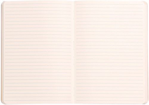 Notitieboek Rhodia A5 lijn 80 vel 90gr saliegroen-3
