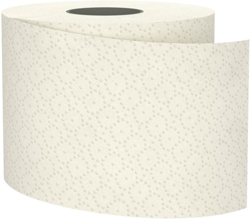 Toiletpapier BlackSatino CT10 GreenGrow 2-laags 4x400 vel naturel 066870-2