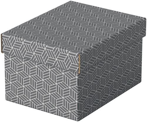 Opberg- en geschenkdoos Esselte home klein 200x150x255mm gr 3 st