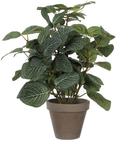 Kunstplant Mica Pilea in pot Ø11,5cm 35x25cm