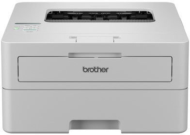Printer Laser Brother HL-L2865DW