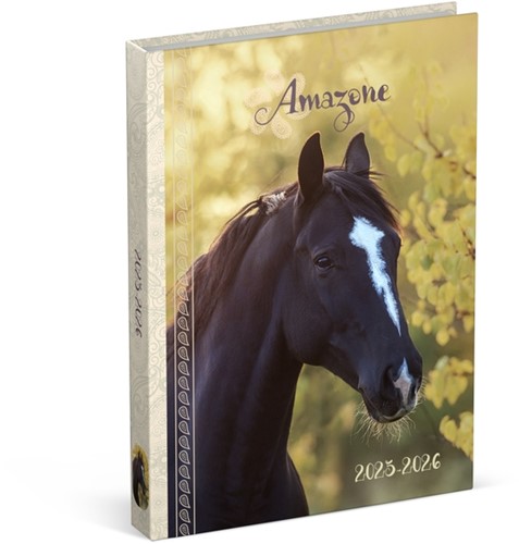 Schoolagenda 25-26 Lannoo Horses 1dag/1pagina geel