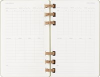 Agenda 2025/2026 Moleskine 12M Academic Weekly 7d/1p Myrtle large kiwi-3