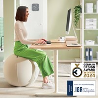 Actieve zitbal Leitz Ergo 65cm anti-rol lichtgrijs-3