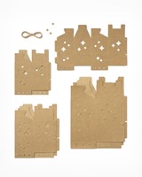 Giftbox Folia Star kraft set à 6 stuks-2