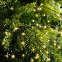 Kerstverlichting Lumineo LED 1600cm-1
