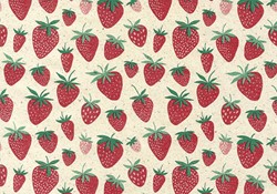 Apparaatrol Strawberry 200mx30cm