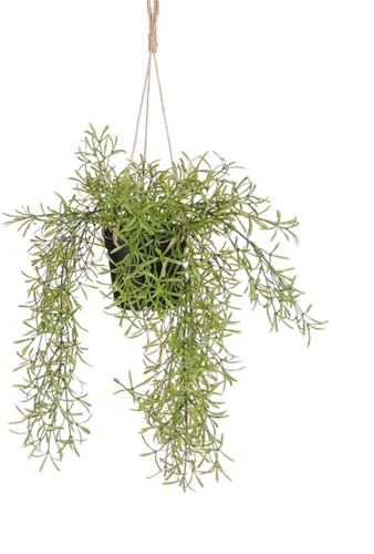 Kunstplant Mica Rhipsalis hangend in pot groen Ø9,5cm 40x20cm