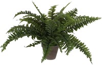 Kunstplant Mica Boston varen groen in pot Ø50cm 42cm