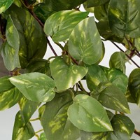 Kunstplant Mica Scindapsus hangend groen Ø25 45cm-2