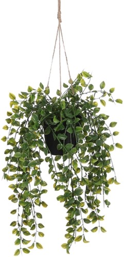 Kunstplant Mica Ficus hangend in pot groen Ø20 46cm