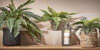 Kunstplant Mica varen groen in pot Stan grijs Ø50 38cm-3