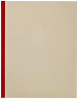 Kasboek Quantore 165x210mm 160blz 1 kolom rode rug assorti