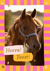 Wenskaart Hallmark uitnodiging paarden pak à 6 stuks