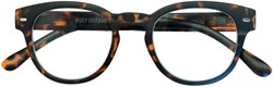 Leesbril I Need You +2.50dpt Billy tortoise