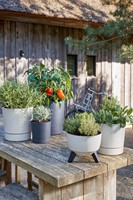 Plantenpot Mica Coco met schotel rond hoogte 23,5 Ø22,5 cm grijs-2