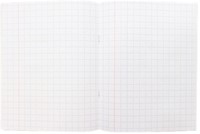 Schrift Kangaro A5 ruit 10mm 80 pagina's 60 gram assorti pastel pak à 10 stuks-4