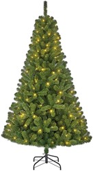 Kerstboom Blackbox Charlton led groen 215cm