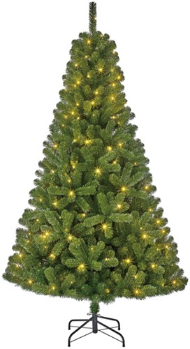 Kerstboom Blackbox Charlton led groen 215cm