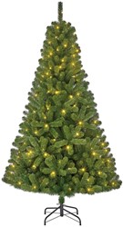 Kerstboom Blackbox Charlton led groen 185cm