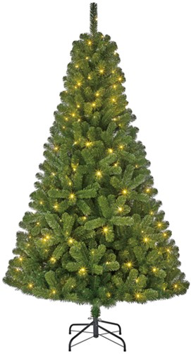 Kerstboom Blackbox Charlton led groen 185cm