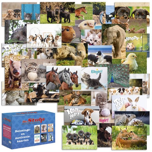 Beloningskaarten De Stulp dierenmix
