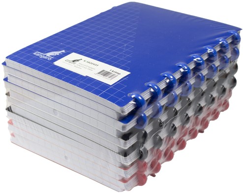Schrift Kangaro 169x213mm ruit 10mm 144pag 90g ass 3 kleur krimp 12st