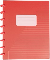 Schrift Kangaro 169x213mm lijn 144pag 90g ass 3 kleur krimp 12st-1
