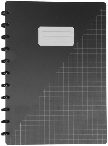 Schrift Kangaro A4 ruit 10mm 144pag 90g assorti 3 kleuren