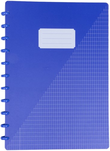 Schrift Kangaro A4 ruit 4x8mm 144 pag 90g assorti 3 kleuren-2