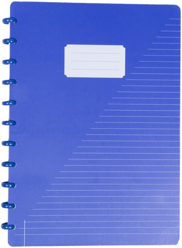 Schrift Kangaro A4 lijn 144pag 90g assorti 3 kleuren-2