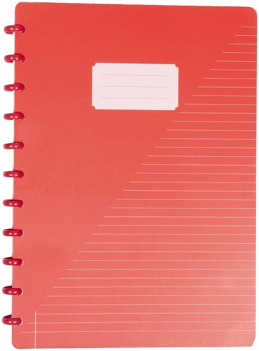 Schrift Kangaro A4 lijn 144pag 90g assorti 3 kleuren-3